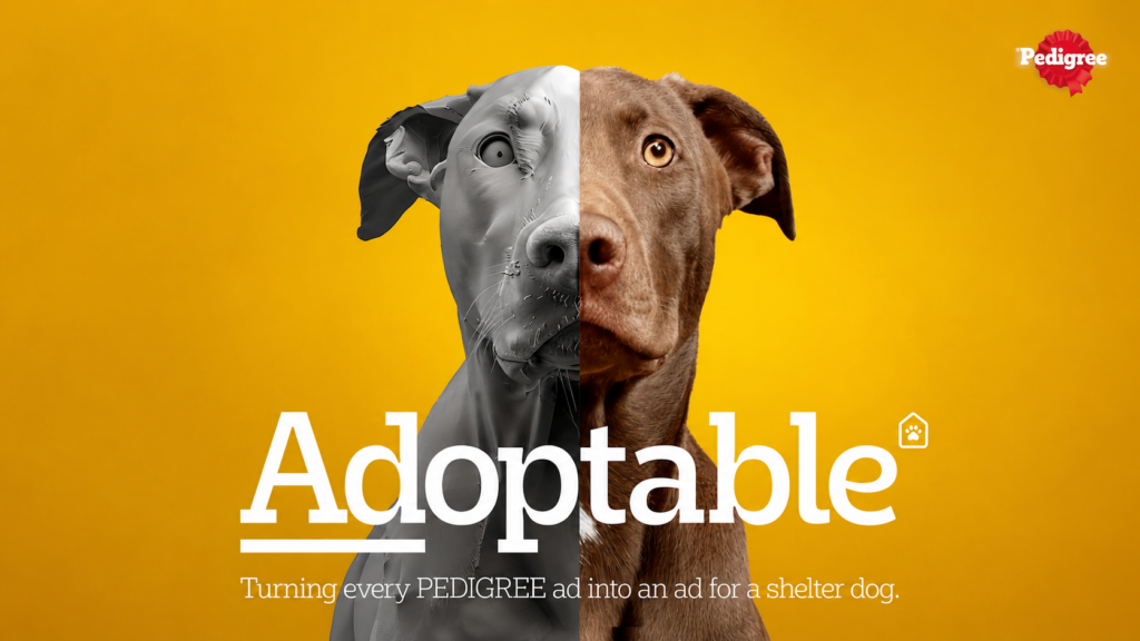 Pedigree Adoptable case studies on The Best of Ads