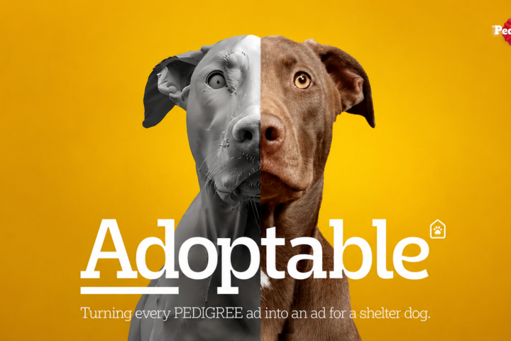 Pedigree Adoptable case studies on The Best of Ads