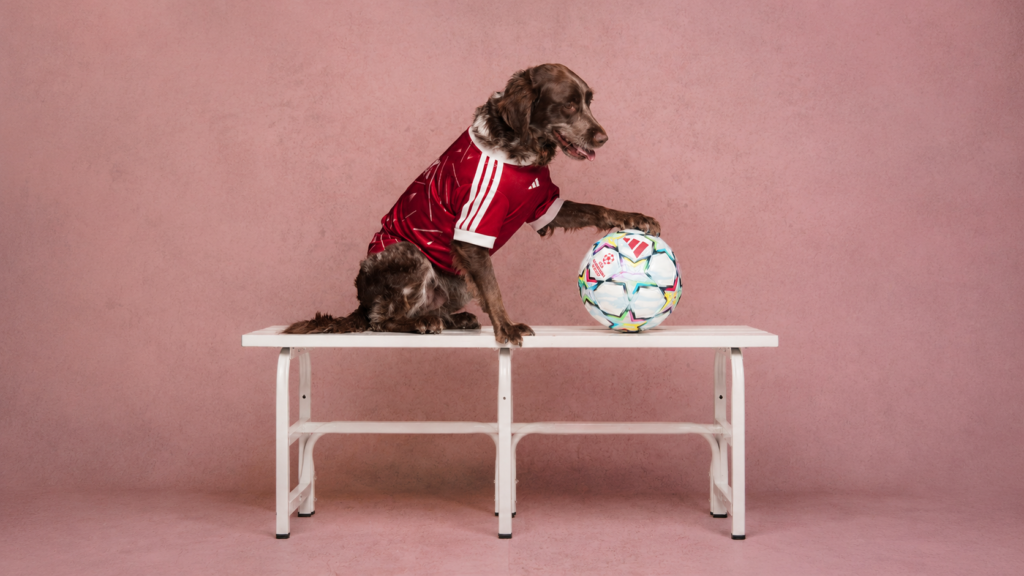 adidas FC Pets Collection by the Best of Ads