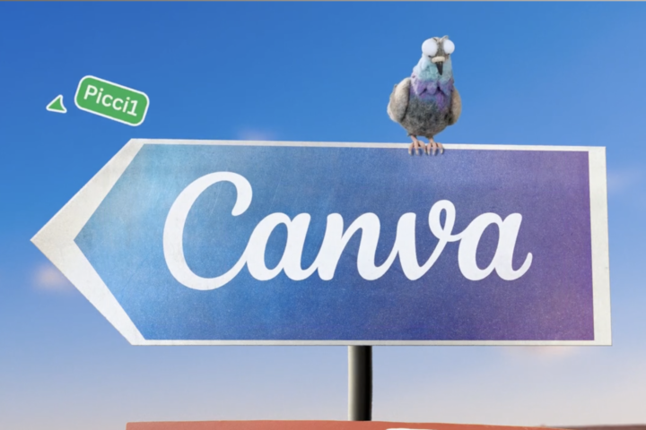 canva wild design on the best of ads