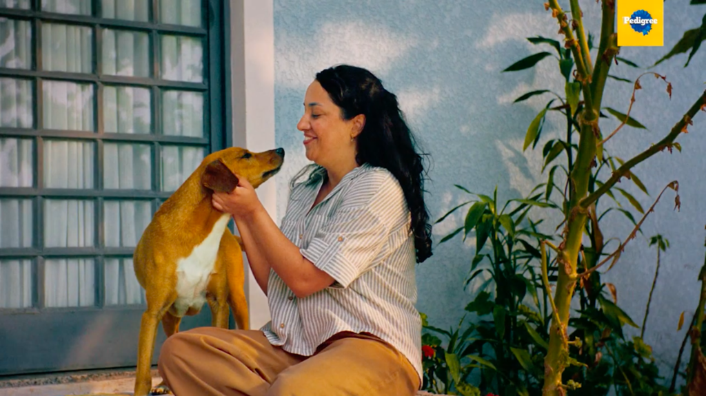 Pedigree’s AI matches adopters with compatible rescue dogs by The Best Of Ads