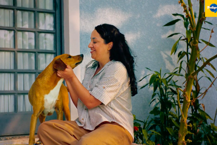 Pedigree’s AI matches adopters with compatible rescue dogs by The Best Of Ads