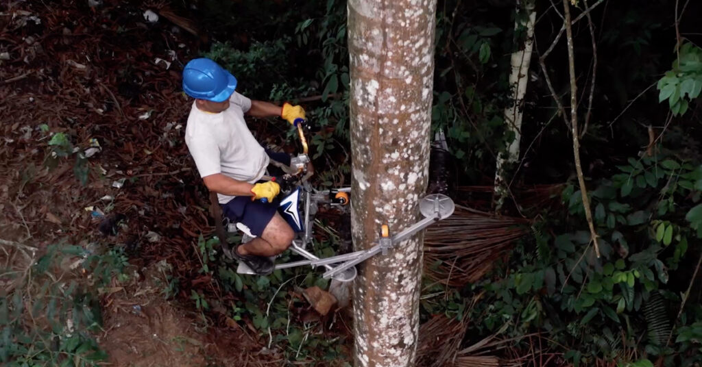 Honda’s Vertical Bike saves Amazonian palms by The Best Of Ads