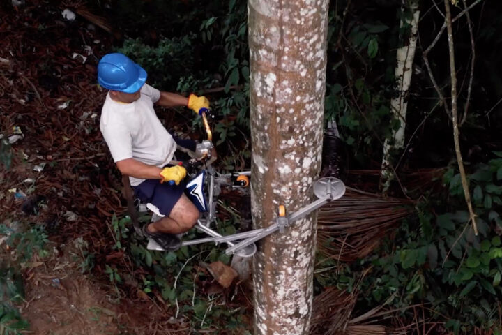 Honda’s Vertical Bike saves Amazonian palms by The Best Of Ads